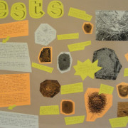 Nests Poster